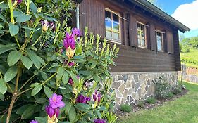 Blockhütte Engeln-Eifel