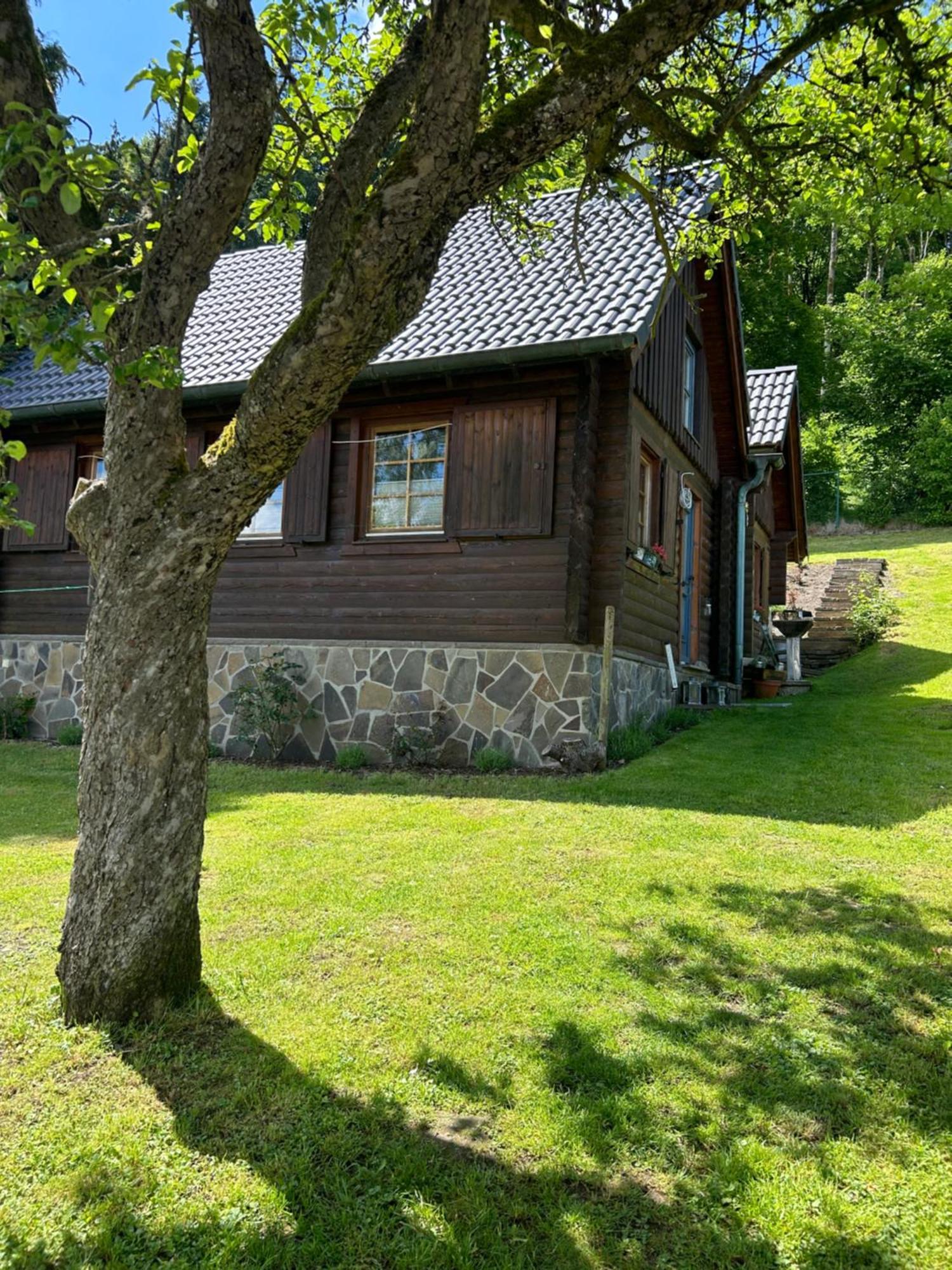 Villa Blockhütte Engeln-Eifel Kempenich Exterior foto