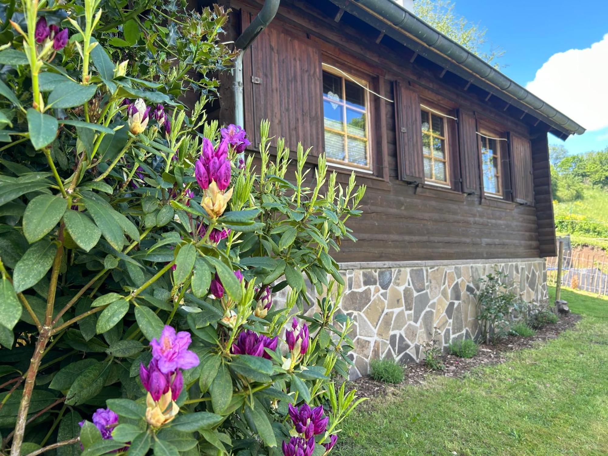 Villa Blockhütte Engeln-Eifel Kempenich Exterior foto