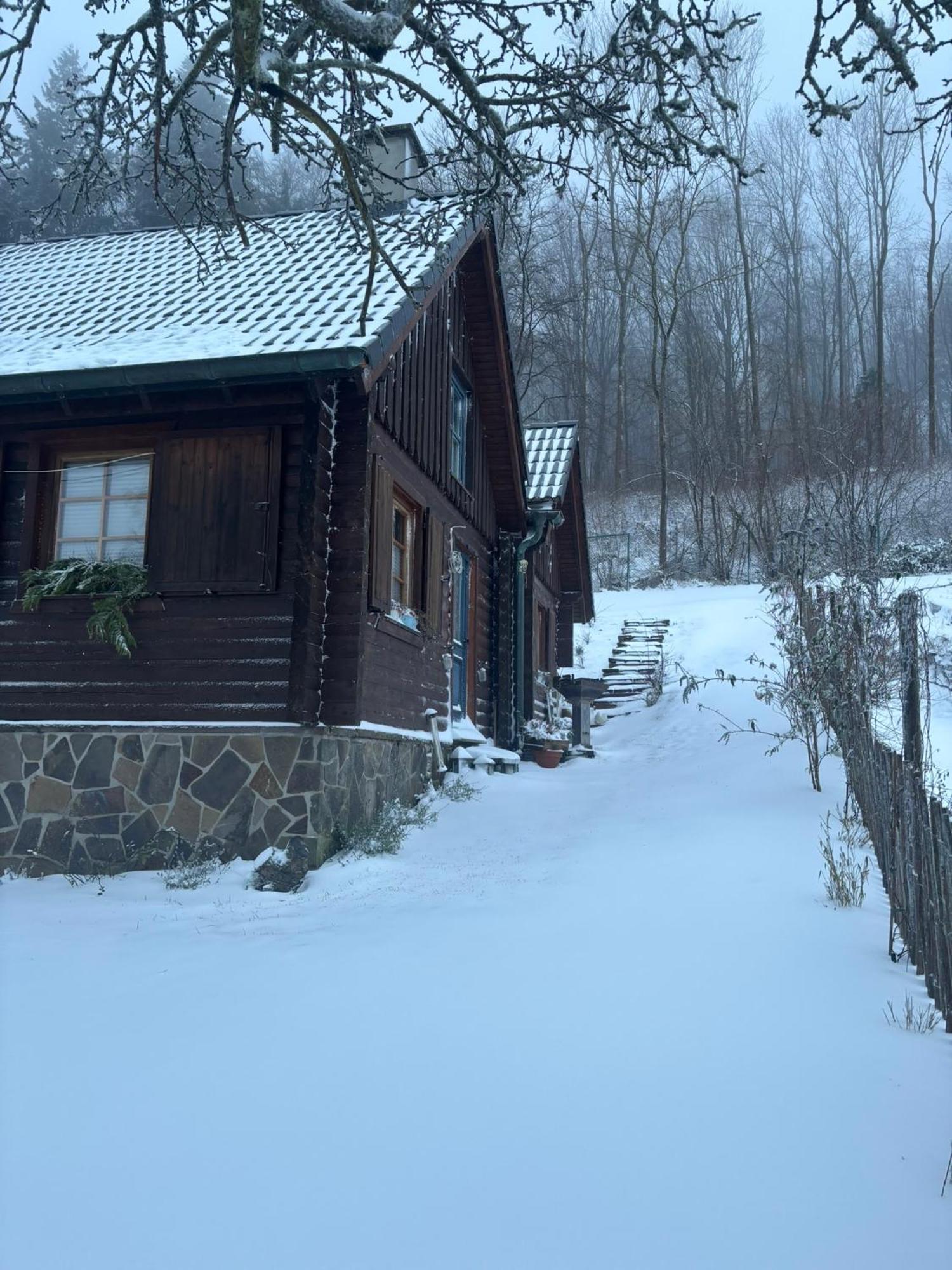 Villa Blockhütte Engeln-Eifel Kempenich Exterior foto